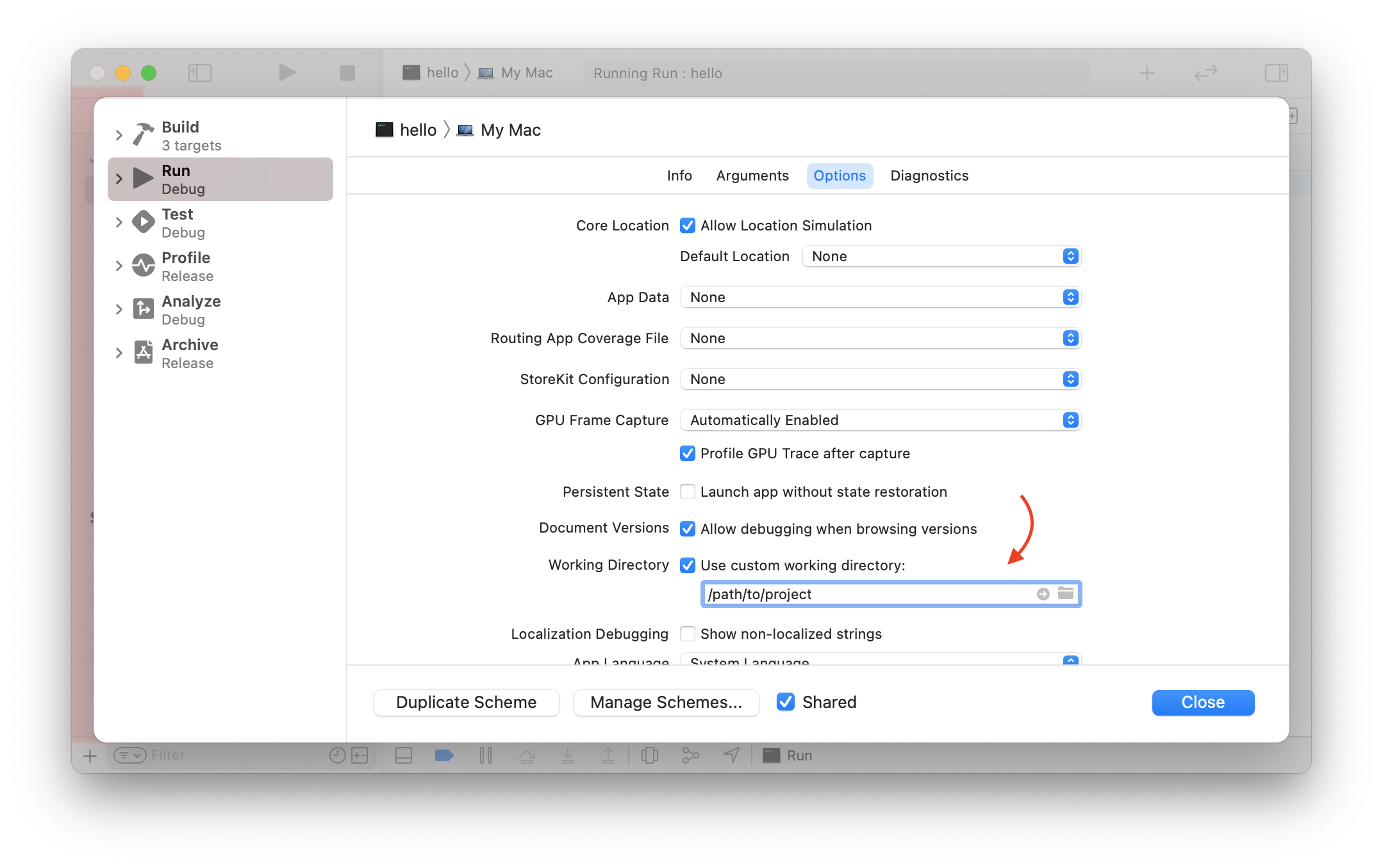 Xcode Scheme Options